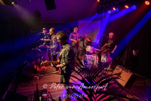 34e Westendorp Bluesnight