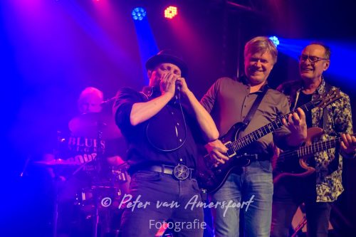 34e Westendorp Bluesnight