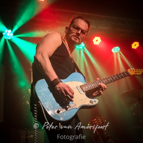 34e Westendorp Bluesnight