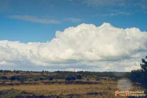 Hollandse-Luchten 030