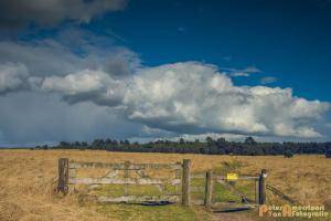 Hollandse-Luchten 032