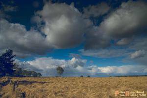 Hollandse-Luchten 033