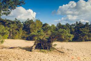 Hollandse-Luchten 040