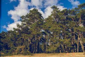 Hollandse-Luchten 043