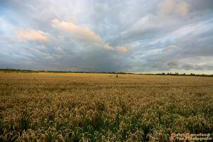 Hollandse-Luchten 055