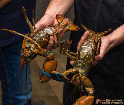 2017-10-28 Workshop Vis fileren en bereiden 007