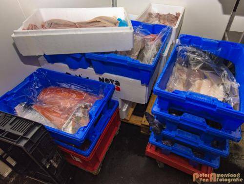 2017-10-28 Workshop Vis fileren en bereiden 013