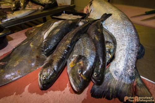 2017-10-28 Workshop Vis fileren en bereiden 015