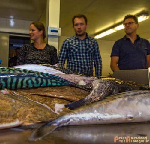 2017-10-28 Workshop Vis fileren en bereiden 017