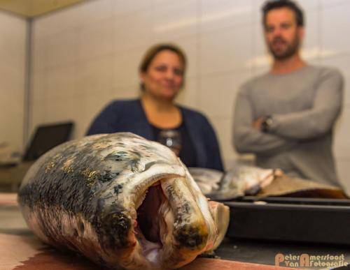 2017-10-28 Workshop Vis fileren en bereiden 019