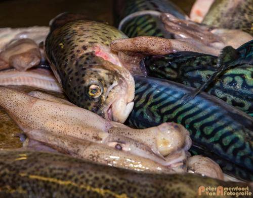 2017-10-28 Workshop Vis fileren en bereiden 026