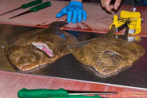 2017-10-28 Workshop Vis fileren en bereiden 028