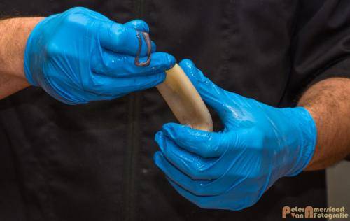 2017-10-28 Workshop Vis fileren en bereiden 029