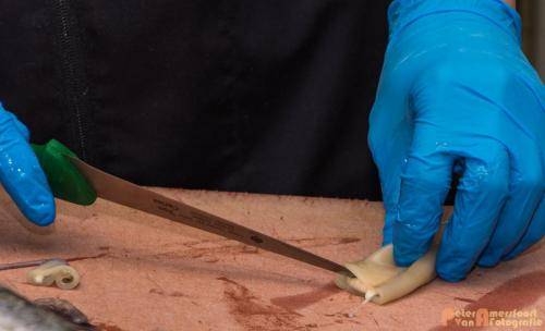 2017-10-28 Workshop Vis fileren en bereiden 030