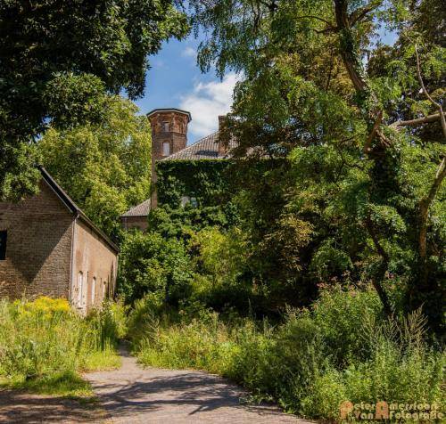 2017-08-04 Zevenaar Wittenburgstraat 05