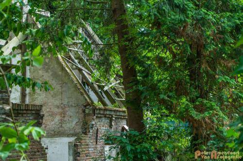 2017-08-04 Zevenaar Wittenburgstraat 25