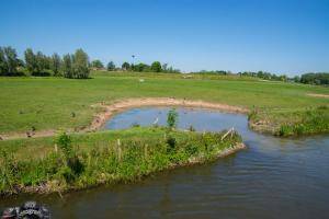 2017-05-26 Zilverwijs-Varen over de Linge-121