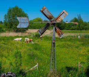 2017-05-26 Zilverwijs-Varen over de Linge-126