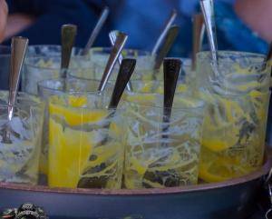 2017-05-26 Zilverwijs-Varen over de Linge-159