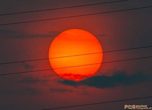 2018-04-12 Nederrijn Meinderswijk 004
