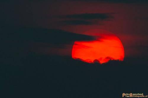 2018-04-12 Nederrijn Meinderswijk 007