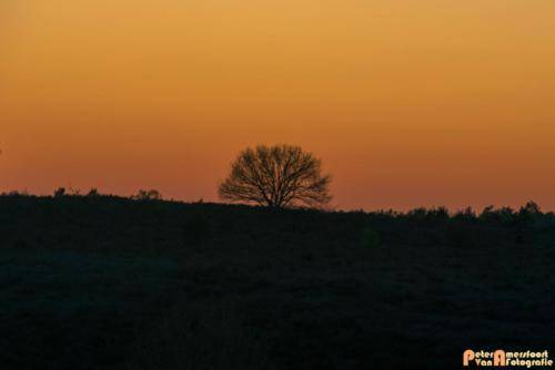 2019-04-20 Zonsondergang Posbank-15