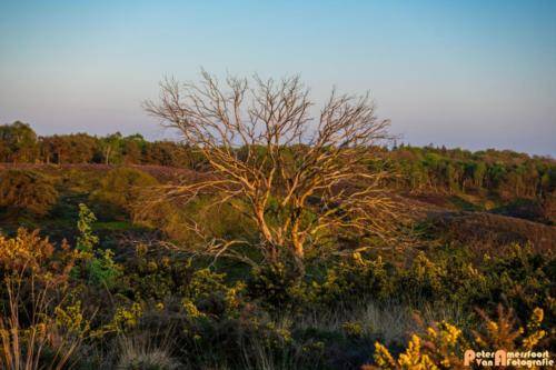 2019-04-20 Zonsondergang Posbank-2
