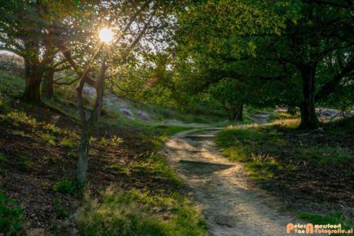 2019-08-20 Posbank Zonsondergang-1
