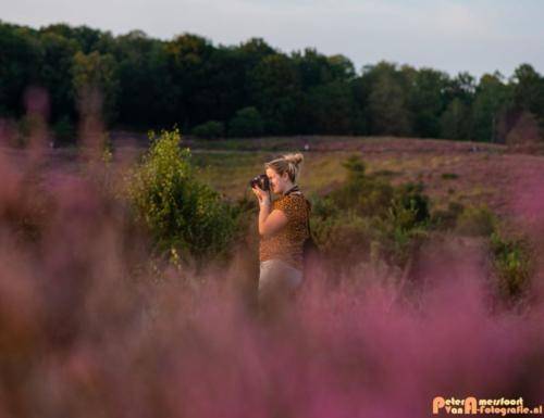 2019-08-20 Posbank Zonsondergang-10