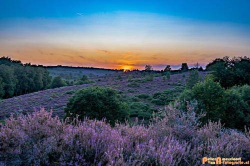 2019-08-20 Posbank Zonsondergang-11