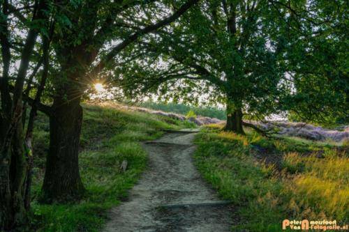 2019-08-20 Posbank Zonsondergang-3