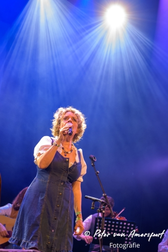 Zwarte Cross 2024 Zondag