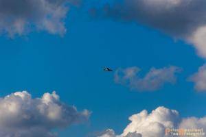 2017-08-04 Zweefvliegen-39