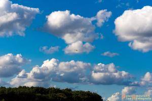 2017-08-04 Zweefvliegen-40