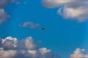 2017-08-04 Zweefvliegen-42