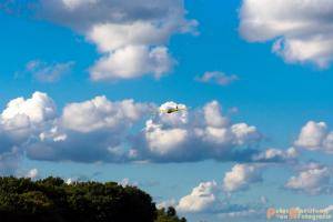 2017-08-04 Zweefvliegen-43