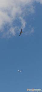 2017-08-04 Zweefvliegen-91